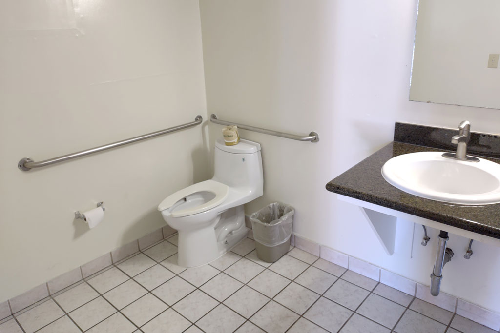 Toilet with grab bars surrounding and accessible sink at Economy Inn Richmond